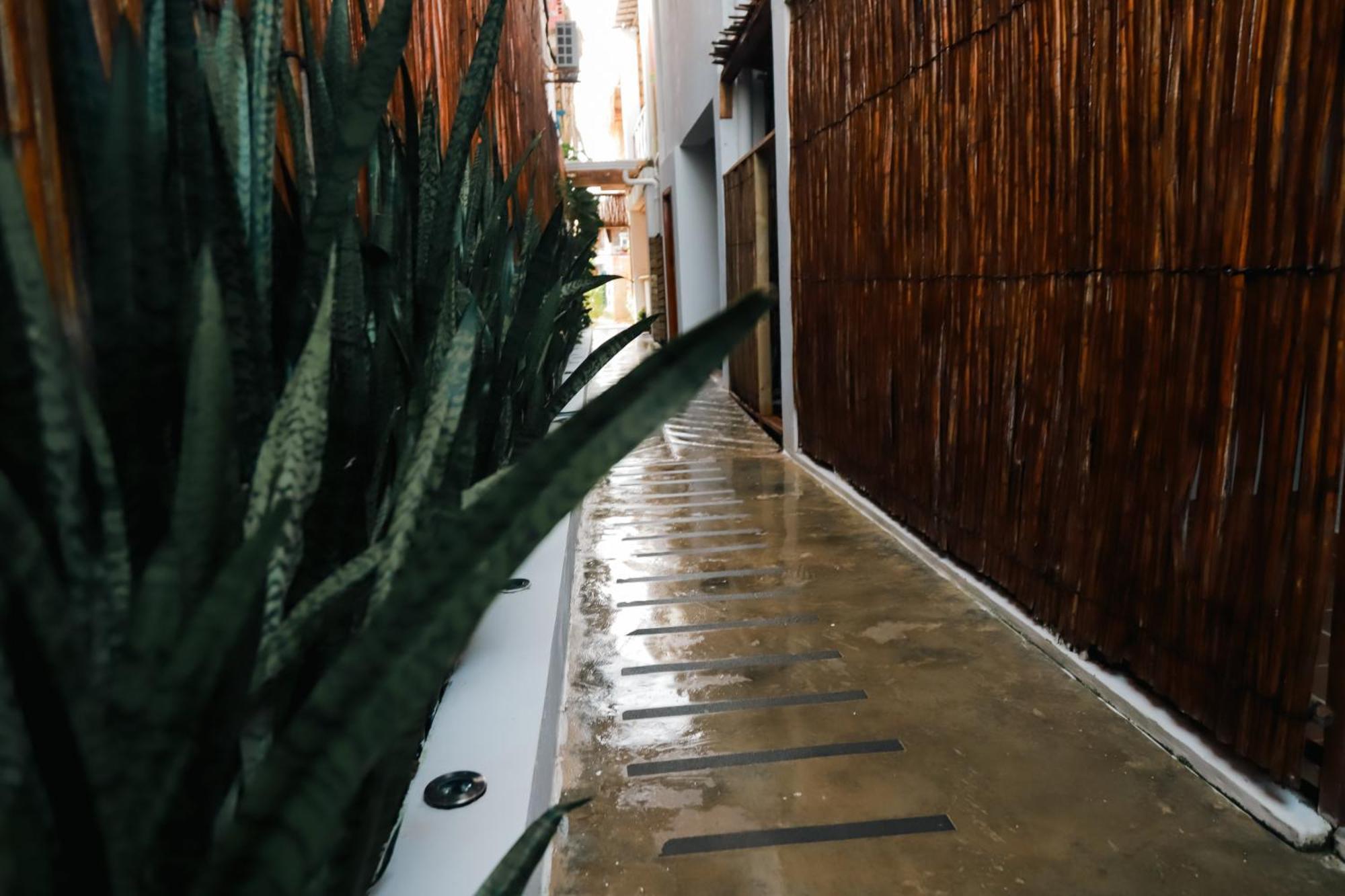 Hostal Casa En La Cienaga Rincon Del Mar Exterior foto