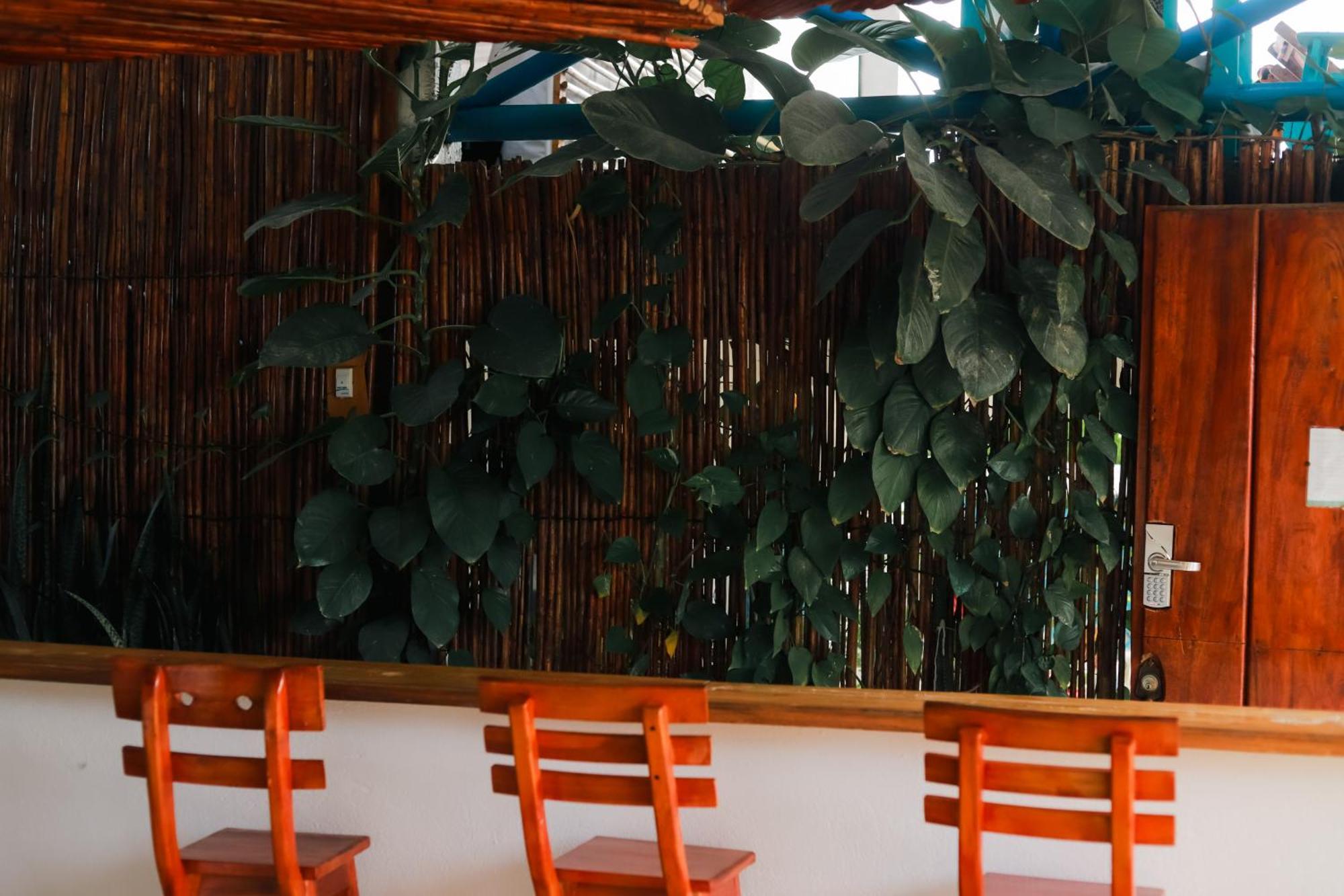 Hostal Casa En La Cienaga Rincon Del Mar Exterior foto